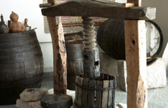Berchidda, Museo del Vino