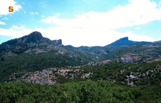 Foresta di Montes, panorama - Autore: Chiaramida Antonello