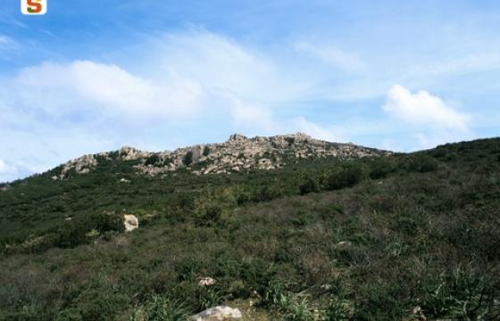 Monte dei Sette Fratelli [Ente foreste della Sardegna]