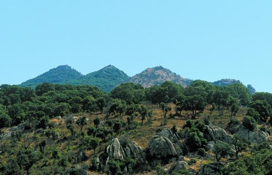 Sarule, Monte Gonare