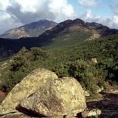 Paesaggio del Monte Arcosu