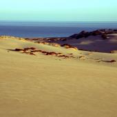 Arbus, le dune della spiaggia di Piscinas